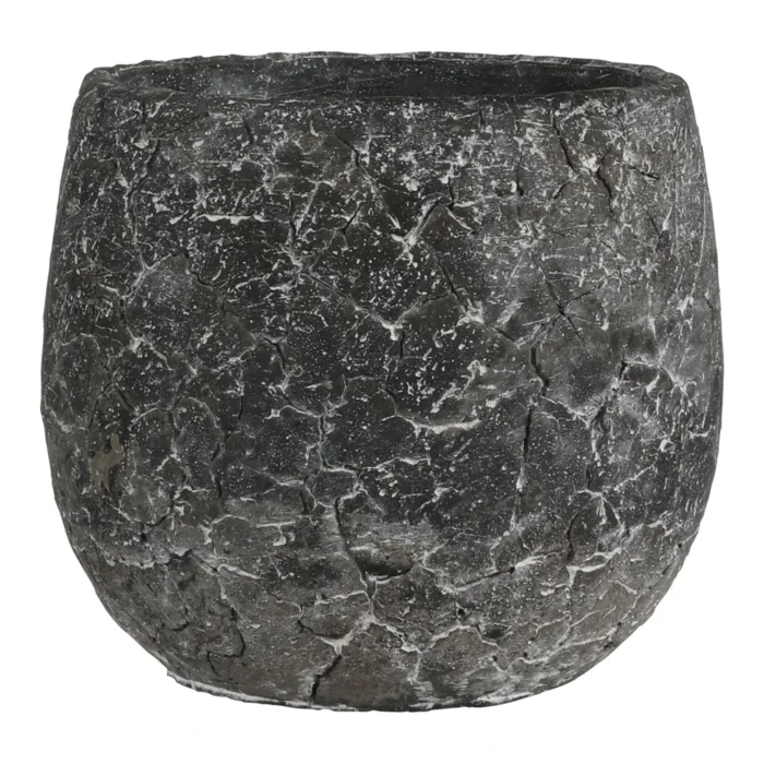 biezen-3774276