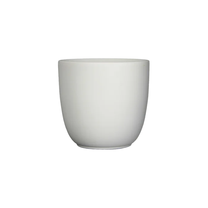 biezen-3774635