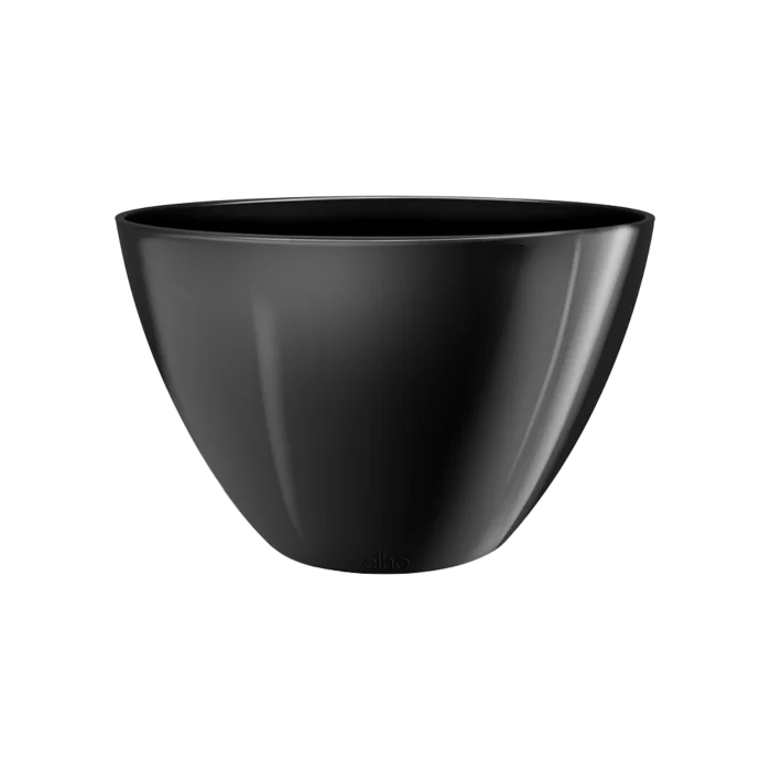 biezen-3775794