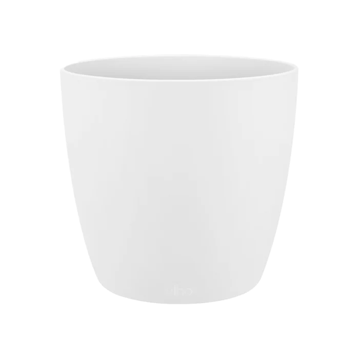 biezen-3776055
