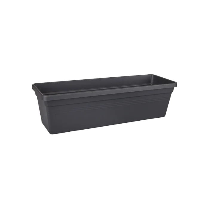 biezen-3776209