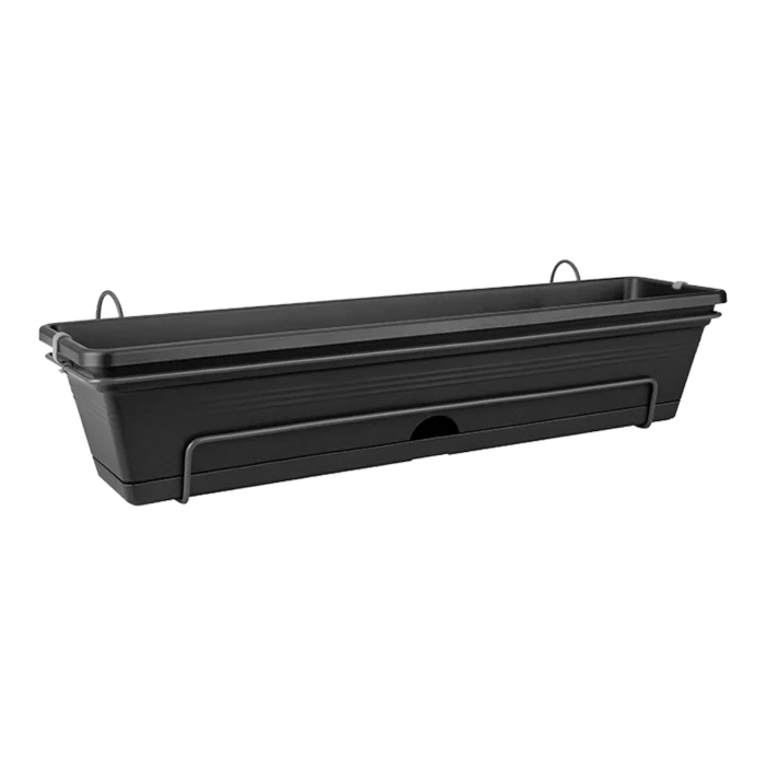 biezen-3776217