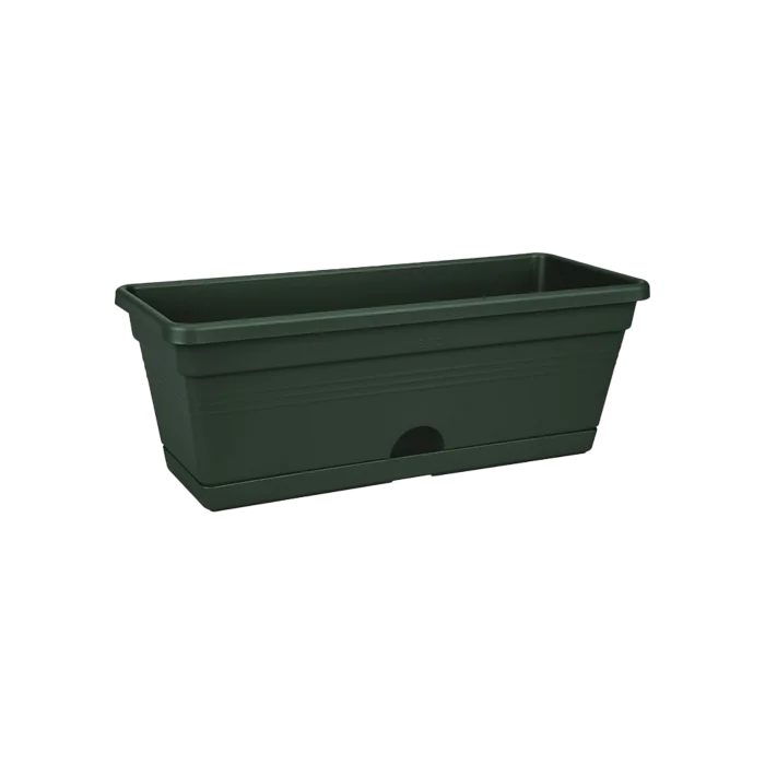 biezen-3776220
