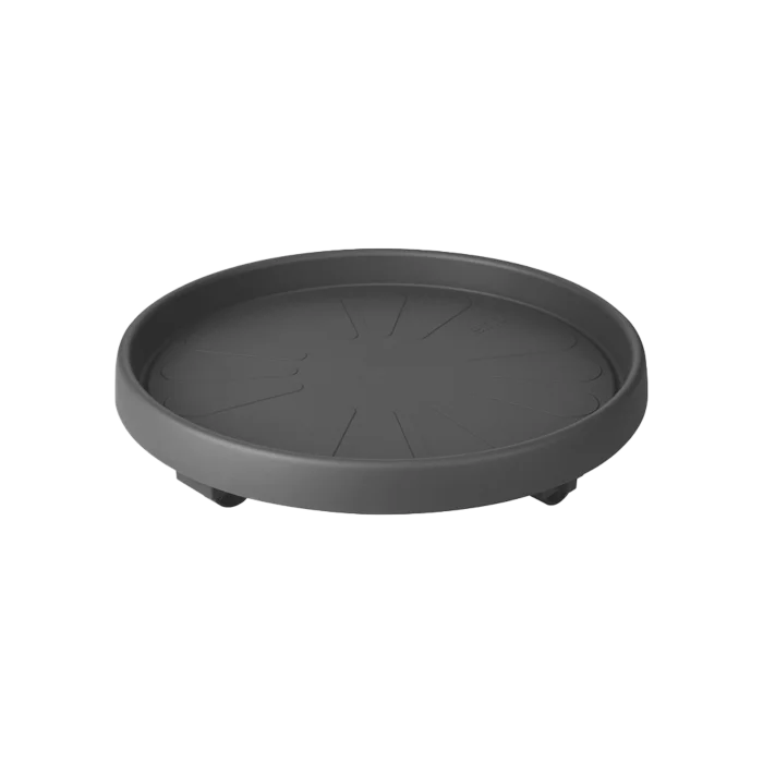 biezen-3776860