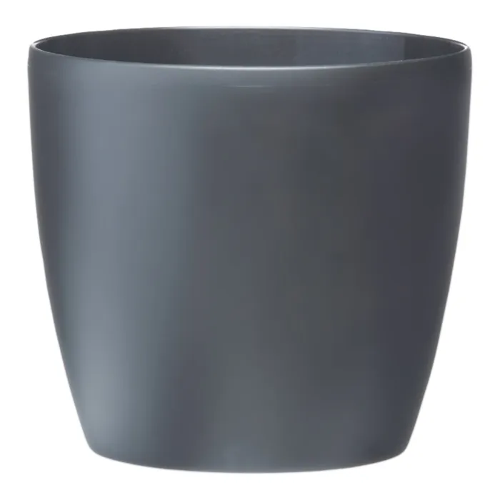 biezen-3777129
