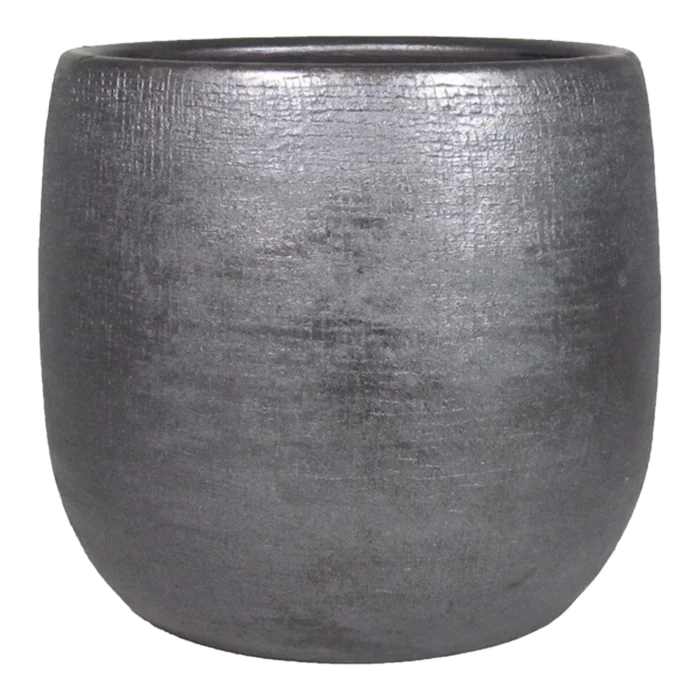 biezen-3779172
