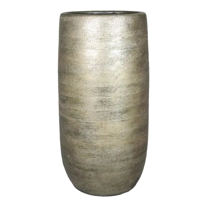 biezen-3779338
