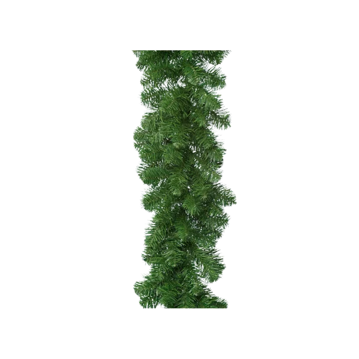 biezen-3783017