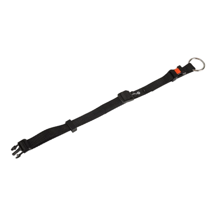 biezen-3784000