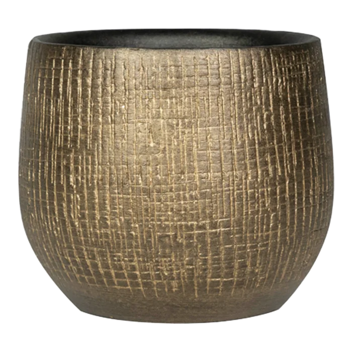 biezen-3784475