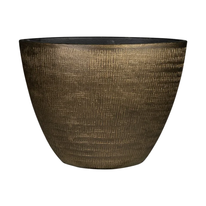 biezen-3784515