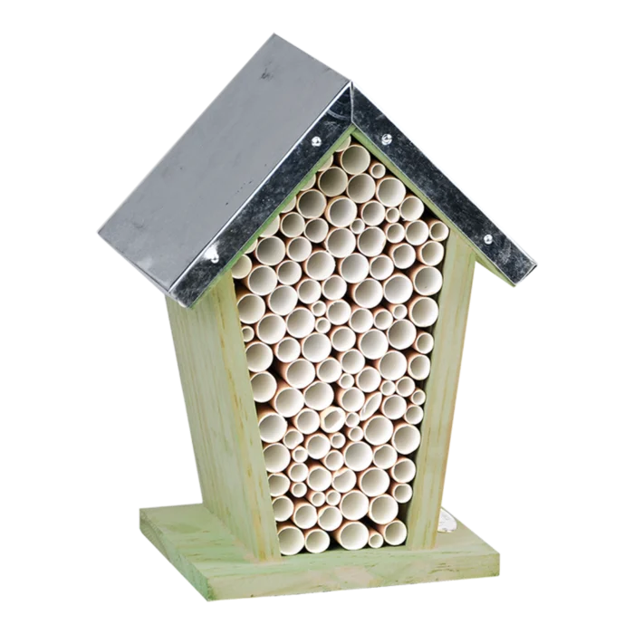 biezen-3785135