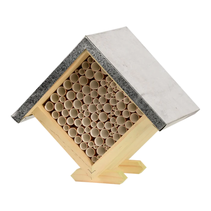 biezen-3785142