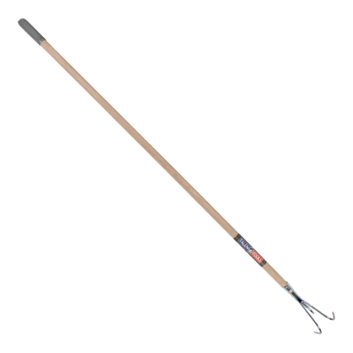 biezen-3785450
