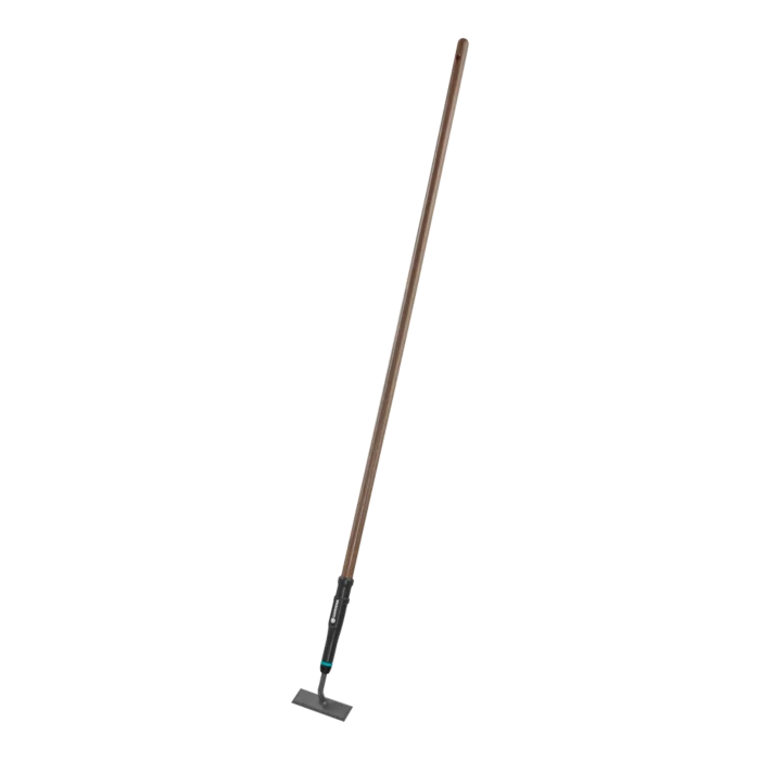 biezen-3785507