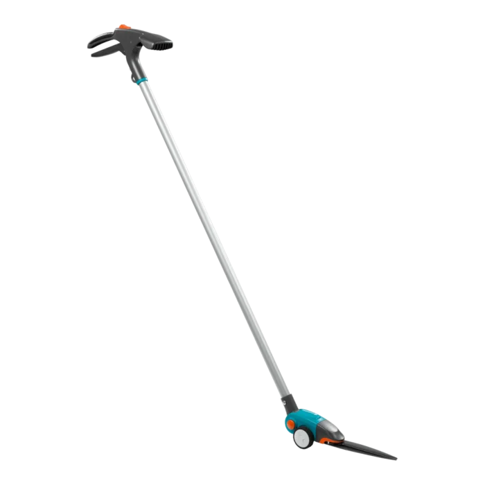 biezen-3785675