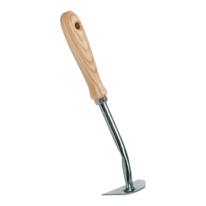 biezen-3785786