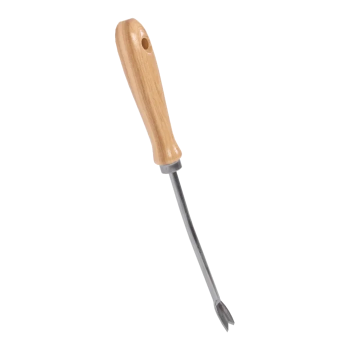 biezen-3785807
