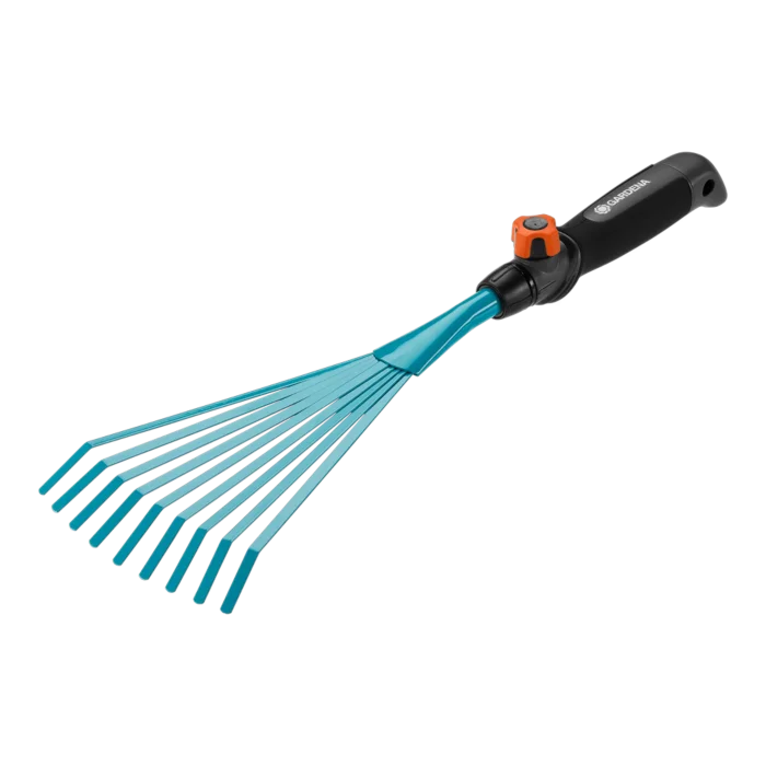 biezen-3785860