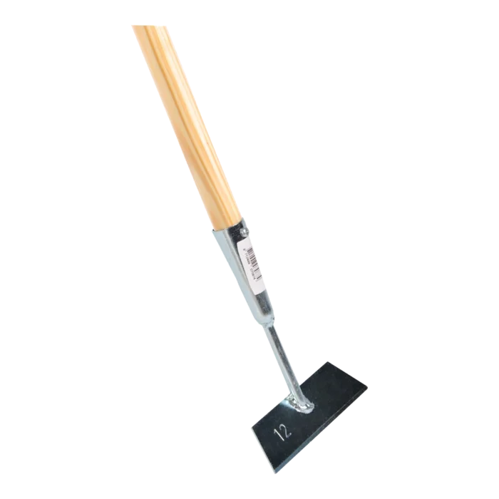 biezen-3785891