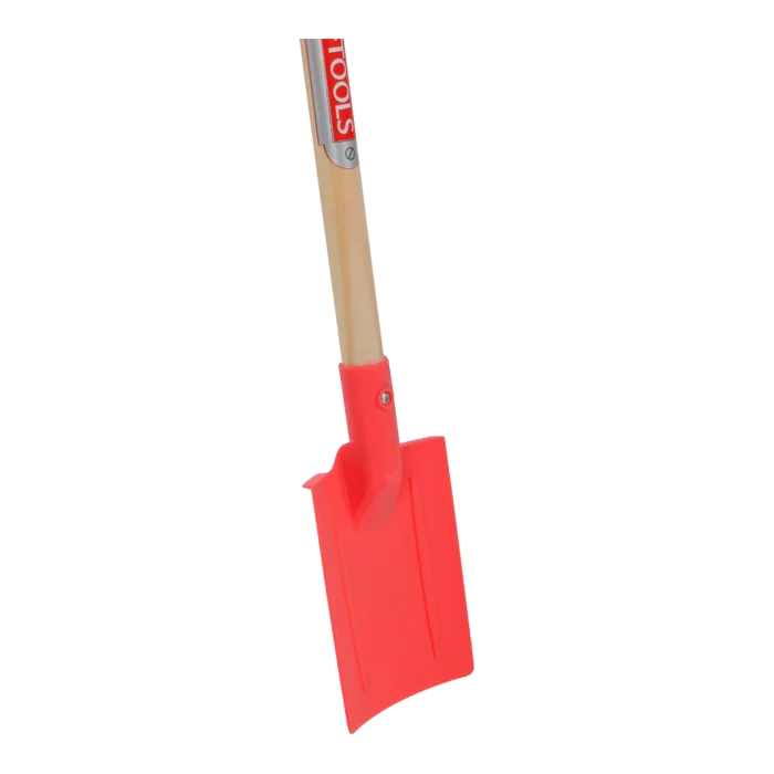 biezen-3785920