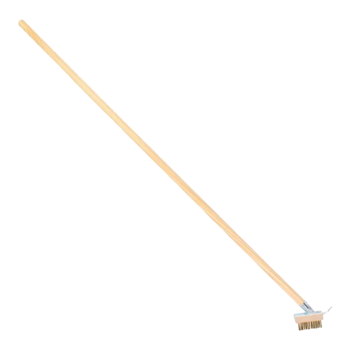 biezen-3786225