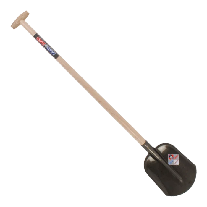 biezen-3786321