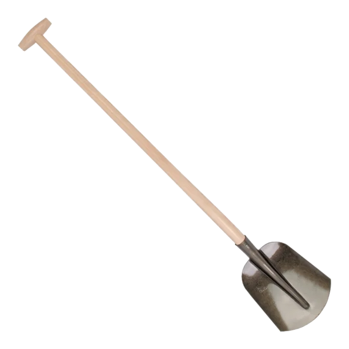 biezen-3786348