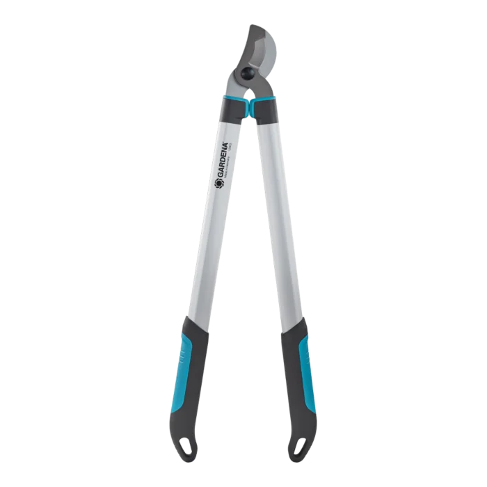 biezen-3786622