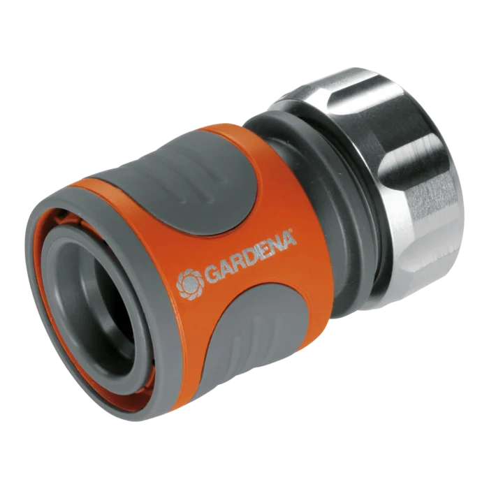biezen-3786796