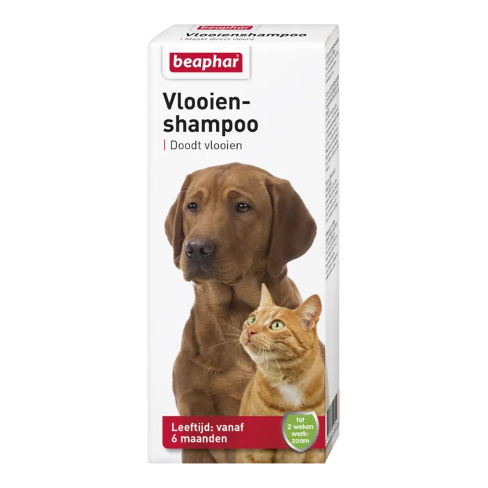 biezen-3788336