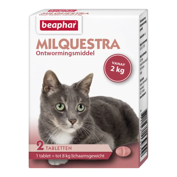 biezen-3788346