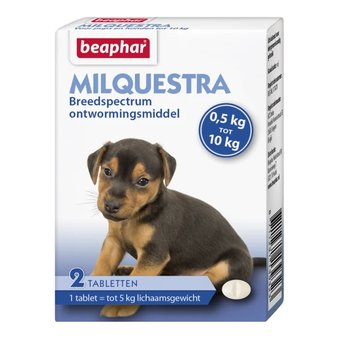 biezen-3788352