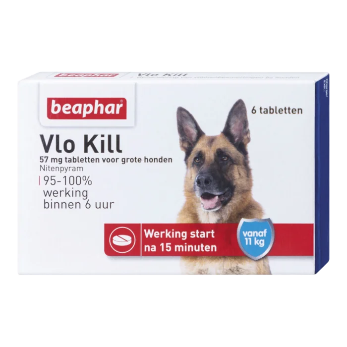 biezen-3788446