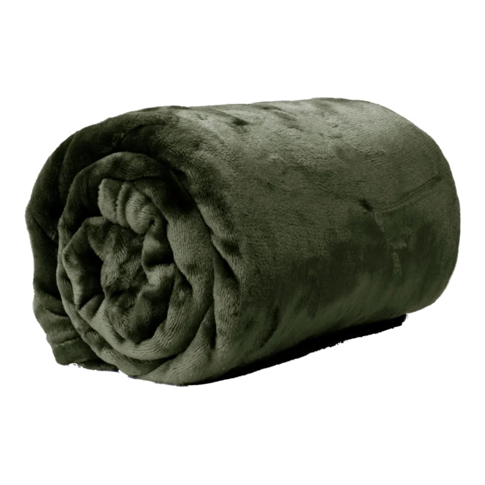 biezen-3788486