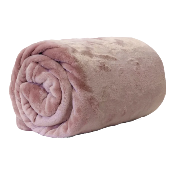 biezen-3788495