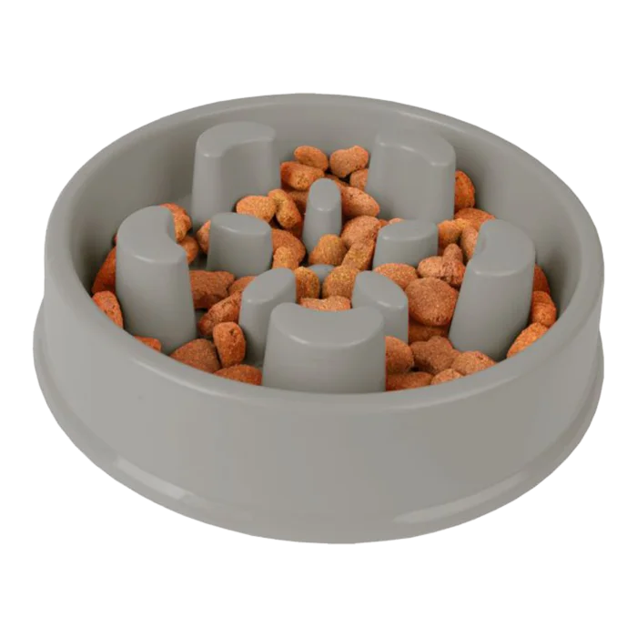biezen-3789318
