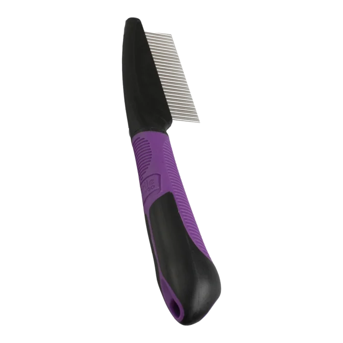 biezen-3789589