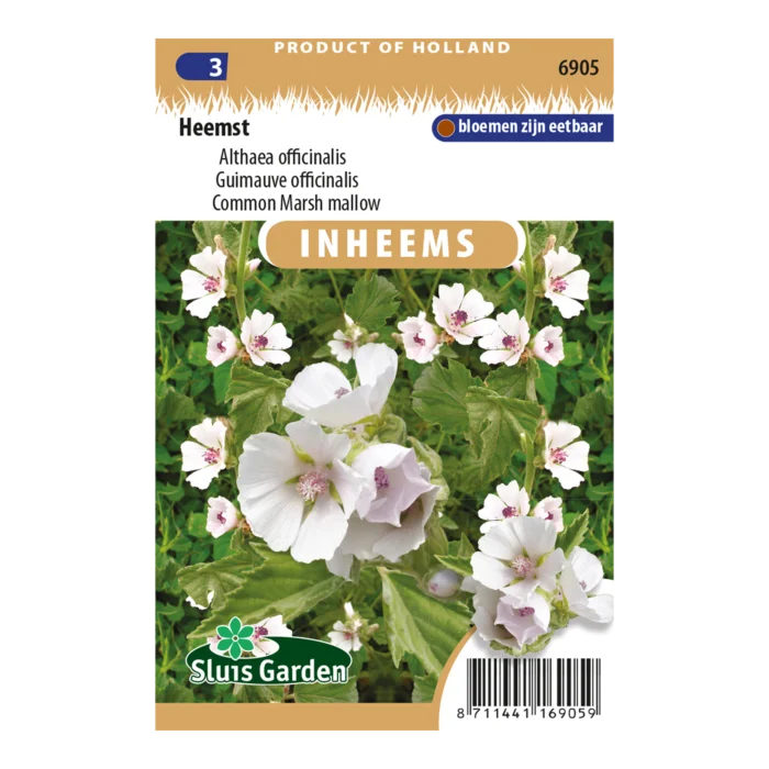 biezen-3791408