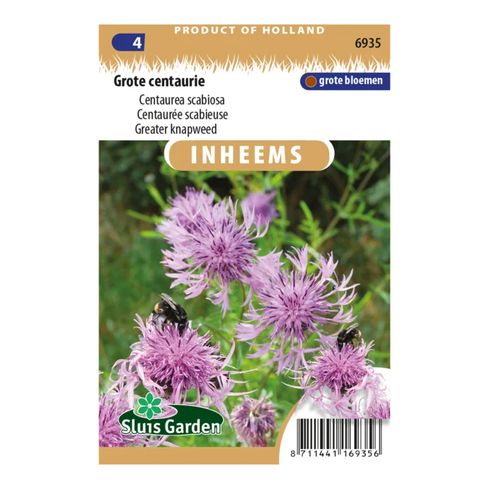 biezen-3791426