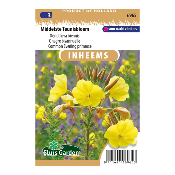 biezen-3791440