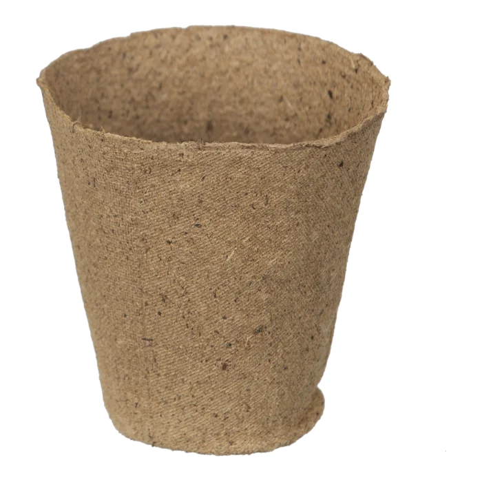 biezen-3791600