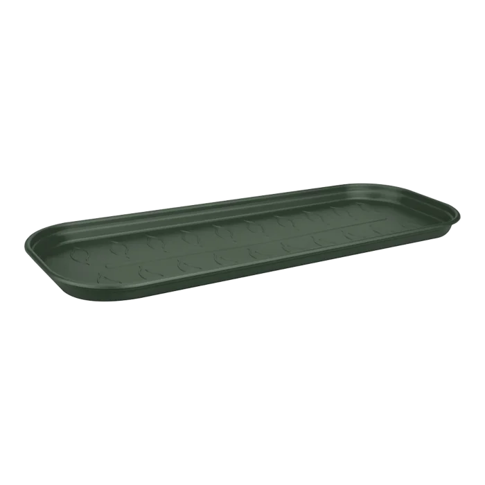 biezen-3791737