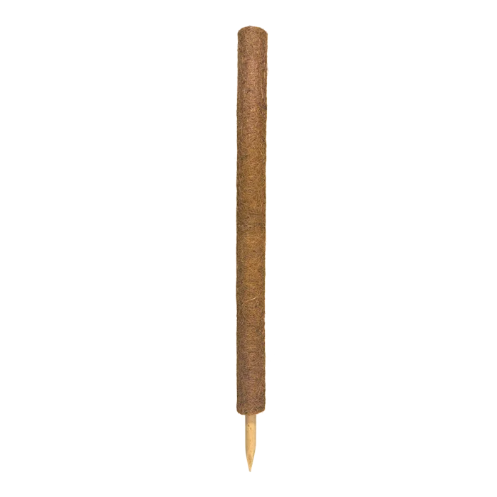 biezen-3791903