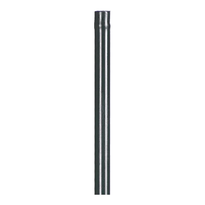 biezen-3792073