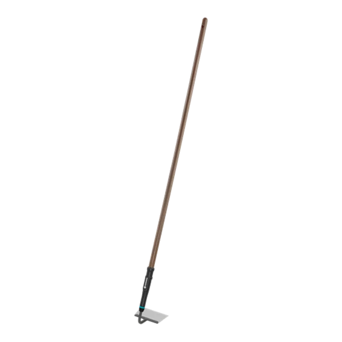 biezen-3792673