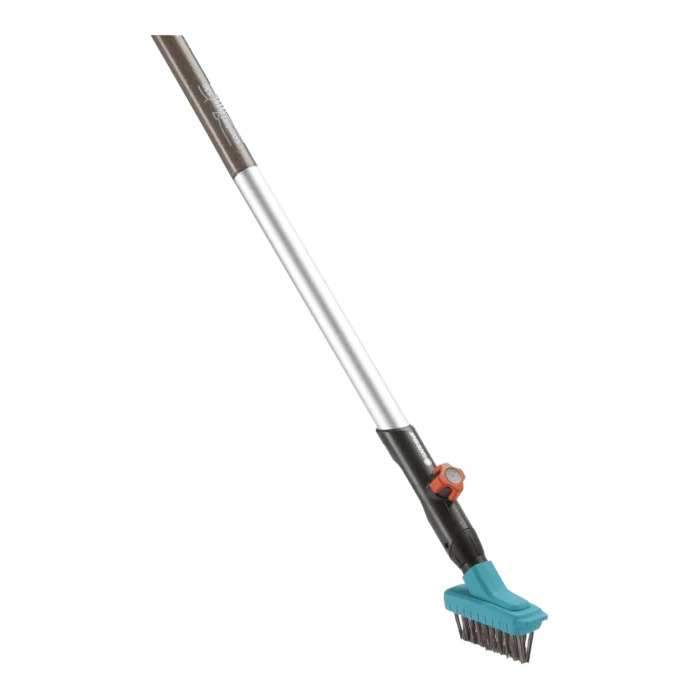 biezen-3792773