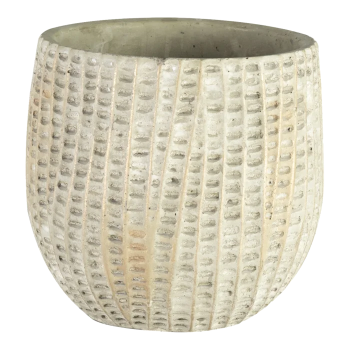 biezen-3792875