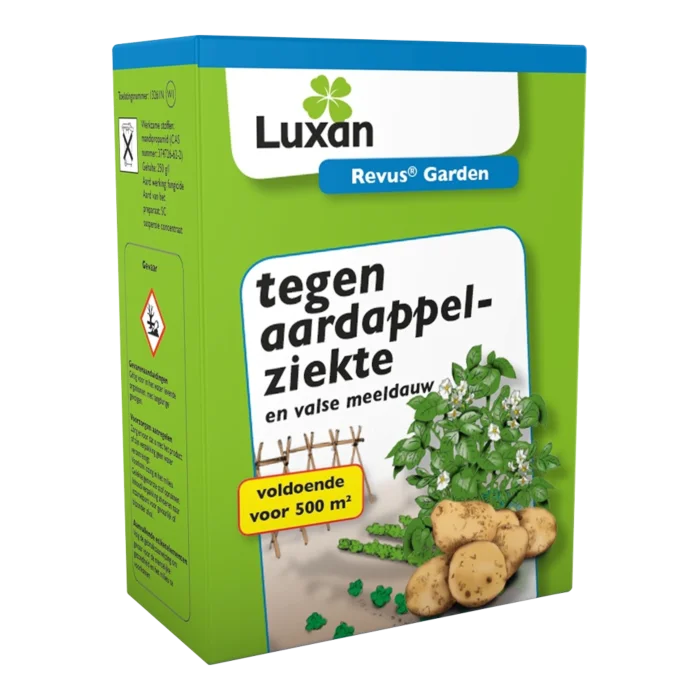 biezen-3793008