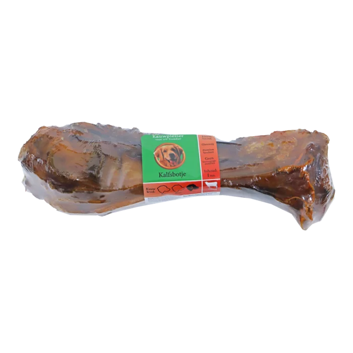 biezen-3793427